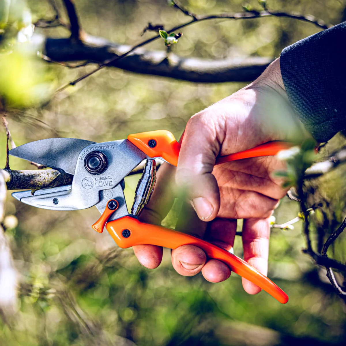 Gartenschere Original Original Löwe nach innen geschwungener Griff für Frauen