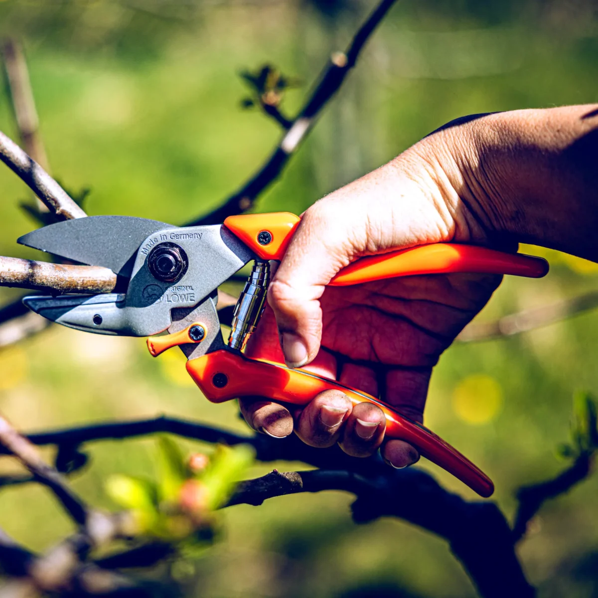 Gartenschere Original Original Löwe nach innen geschwungener Griff für Frauen