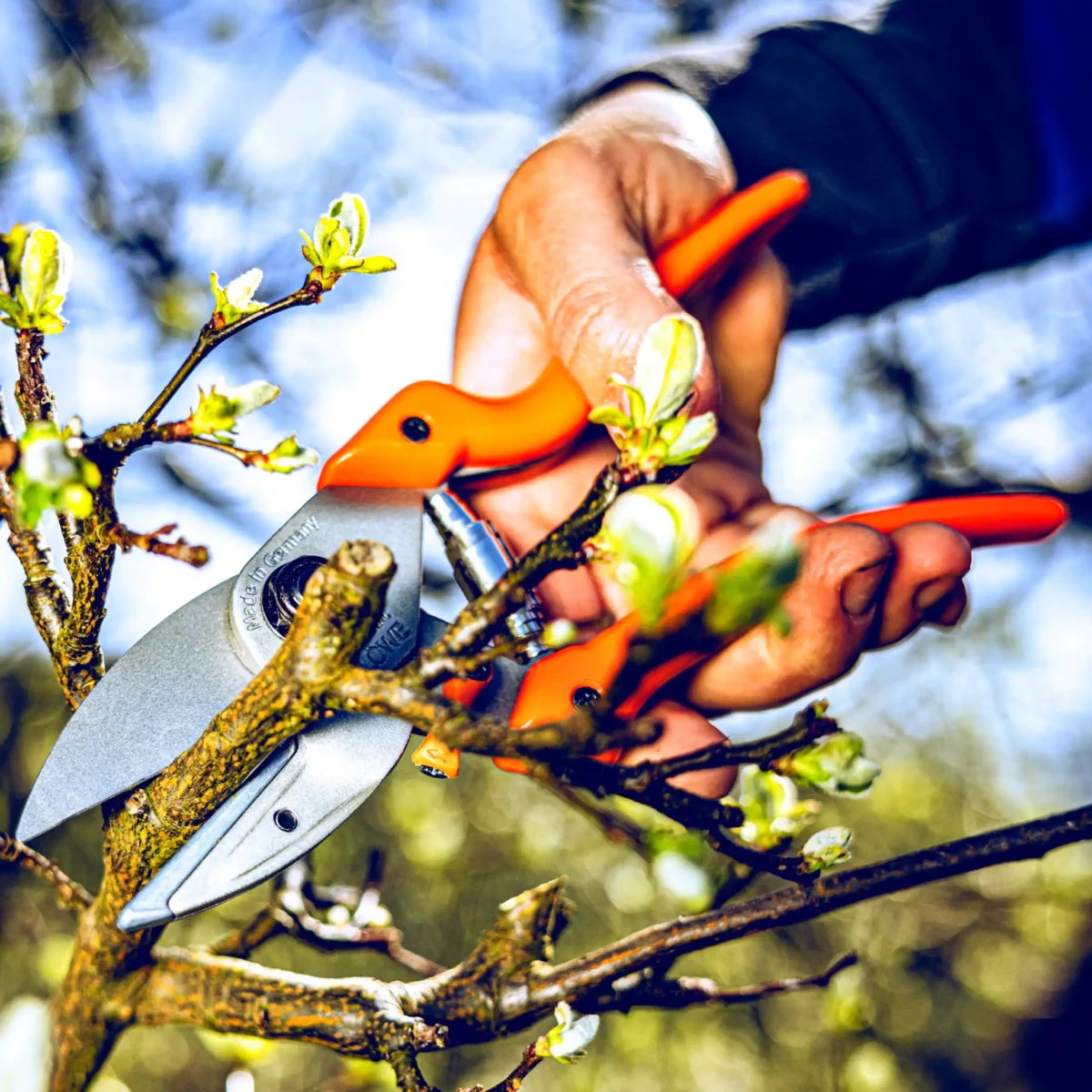 Gartenschere Original Original Löwe nach innen geschwungener Griff für Frauen