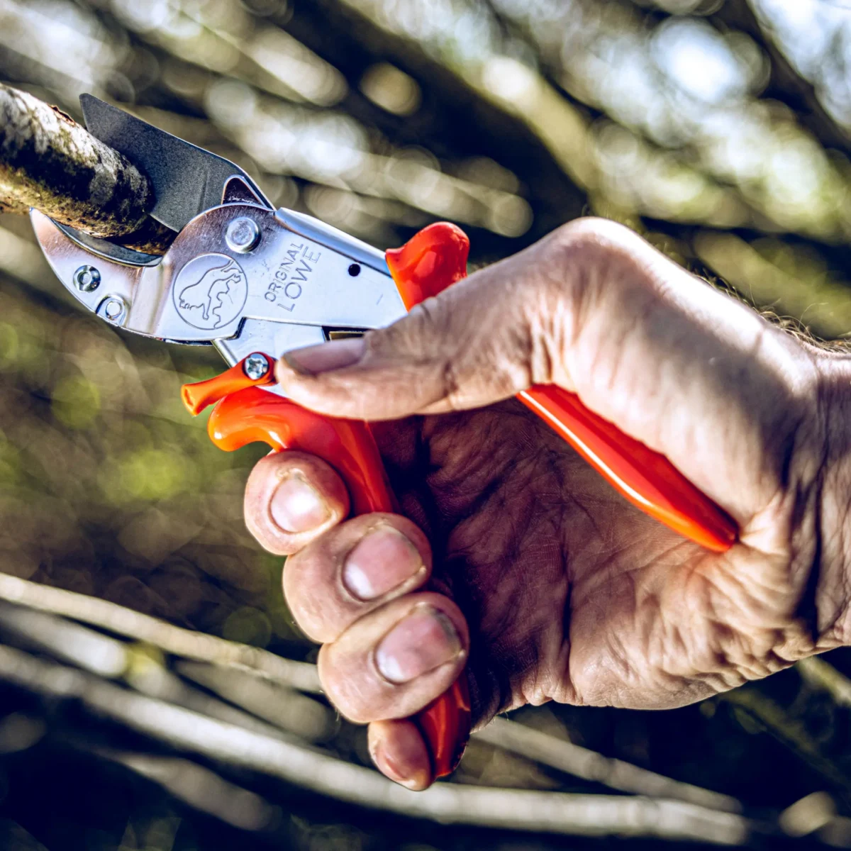 Amboss Gartenschere Werkstattschere große Äste