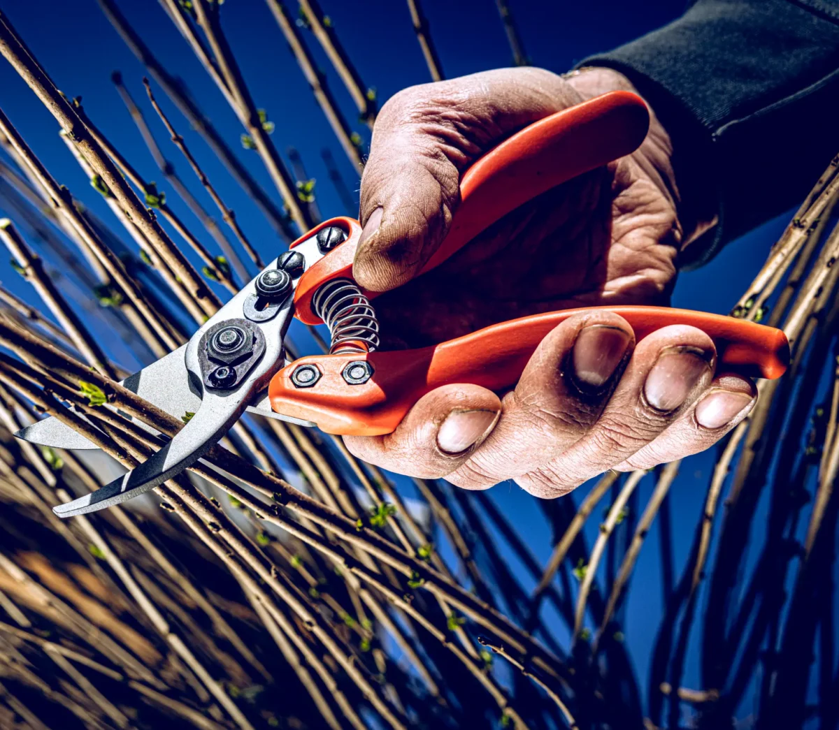 Löwe 11 Precision Clean Cut pro ženy
