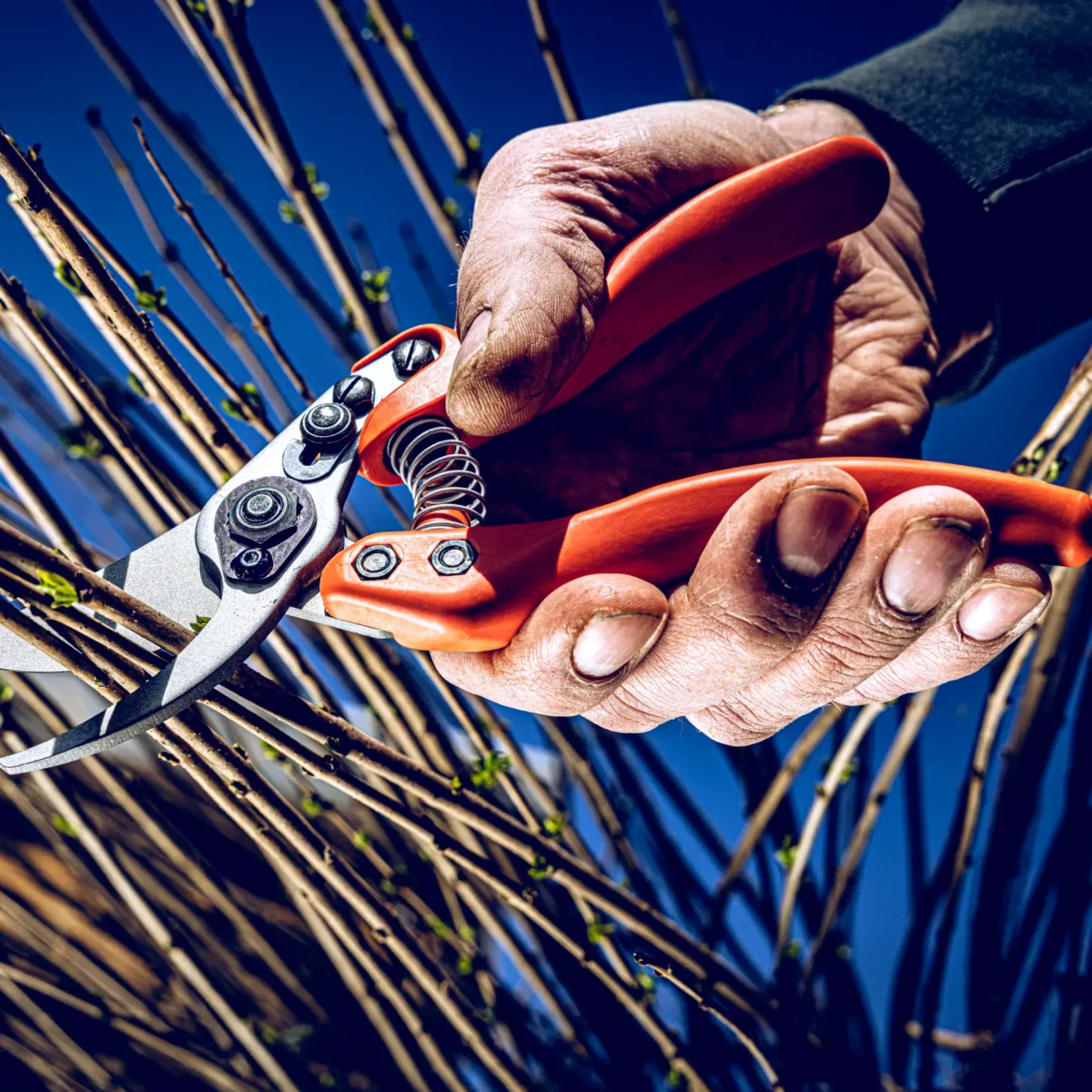 Löwe 11 Precision Clean Cut pro ženy