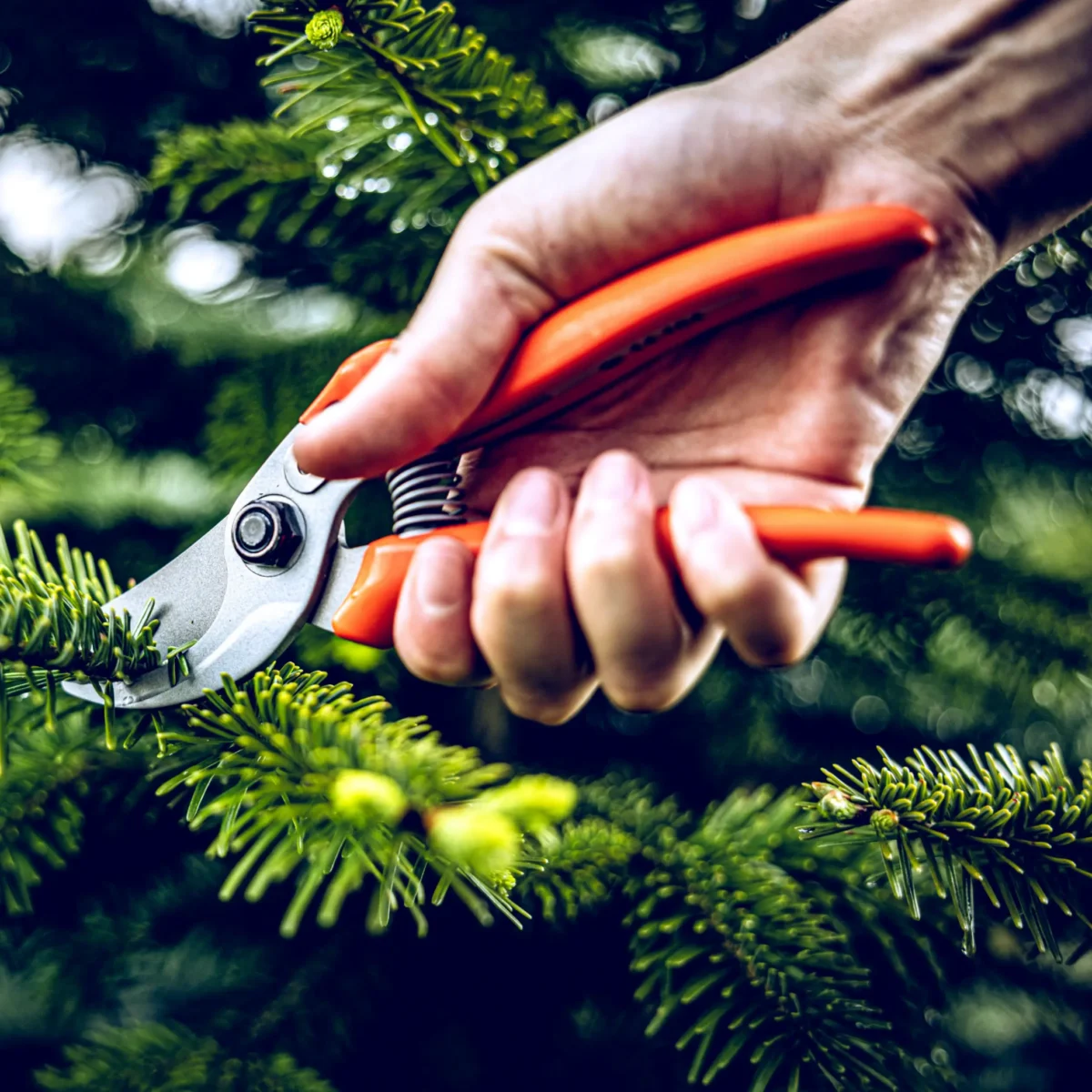 Zahradní nůžky Löwe 14.104 Economic Clean Cut