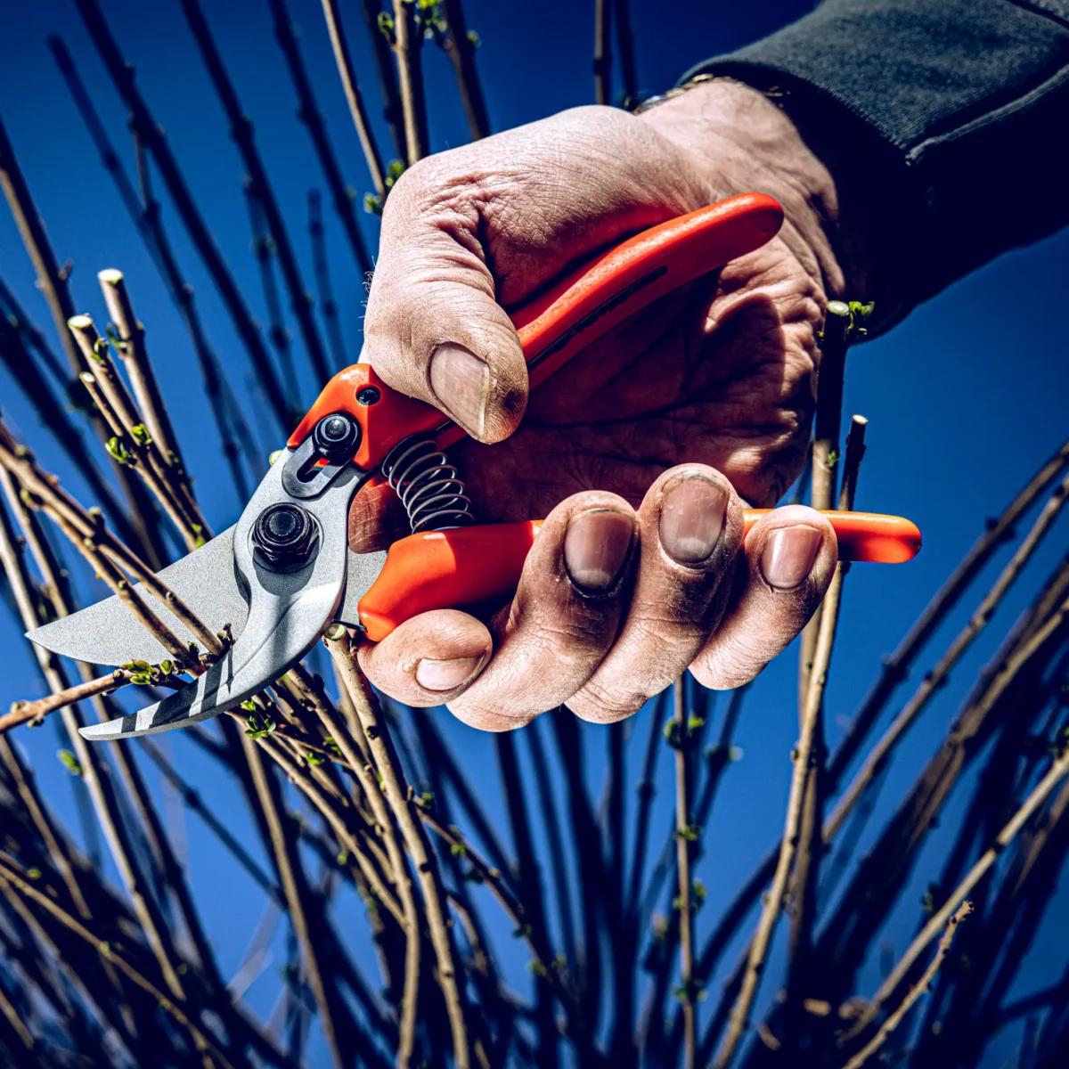 Zahradní nůžky Löwe 14.107 Economic Clean Cut pro menší ruce